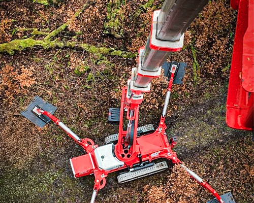 Baumschnitt mit Spezial Arbeitsbühne