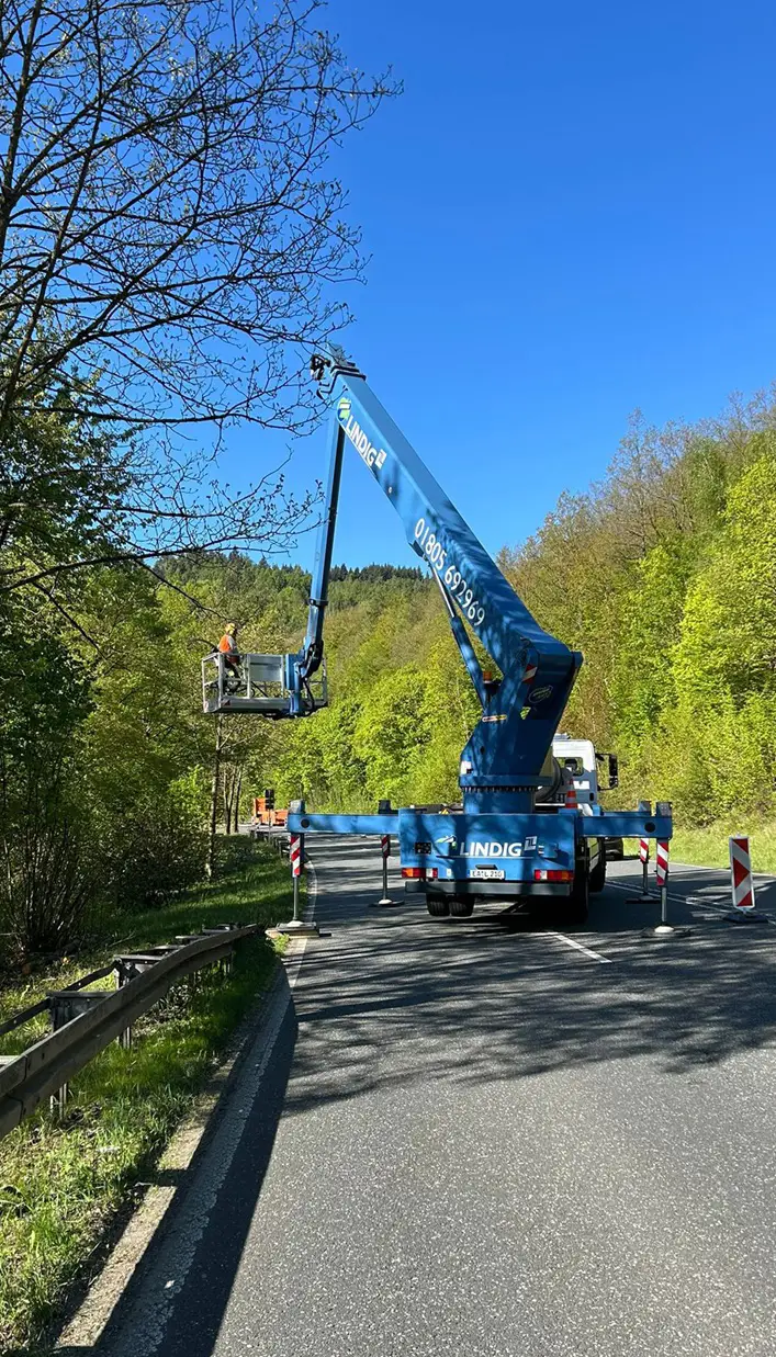Baumschnitt mit LKW Arbeitsbühne