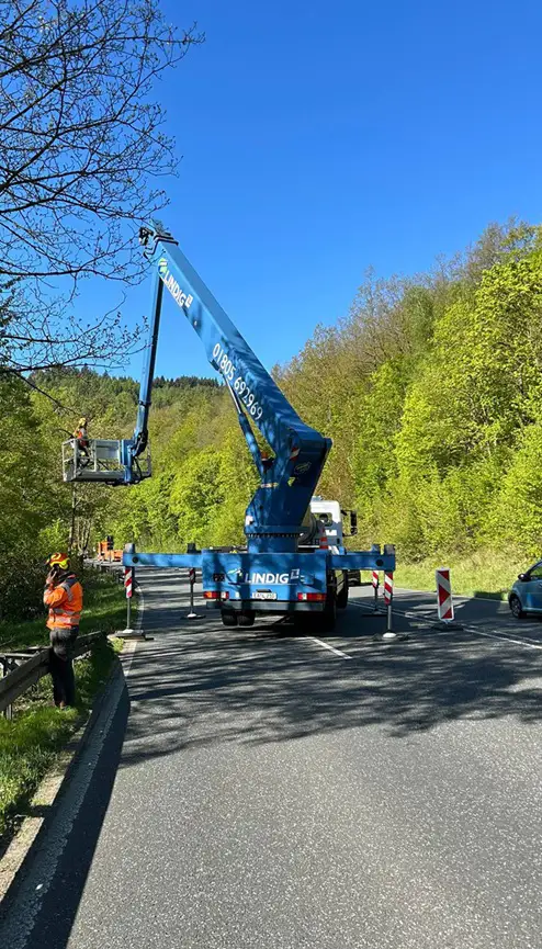 Baumschnitt mit LKW Arbeitsbühne